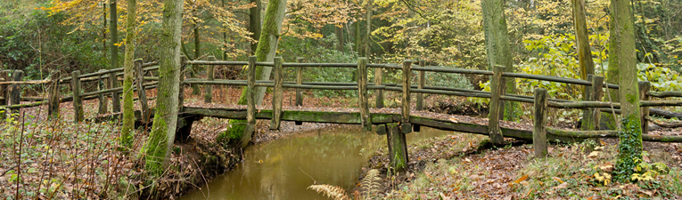 Loop langs Brabantse beken