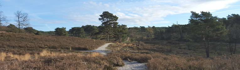 Wandelgebieden in Nederland