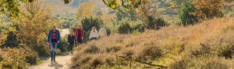 Over Wandelzoekpagina Over Wandelzoekpagina