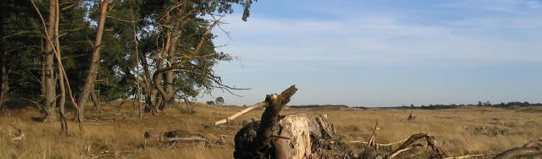 Wandelgebieden in Nederland