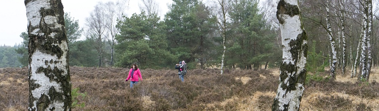 Wandelgebieden in Nederland