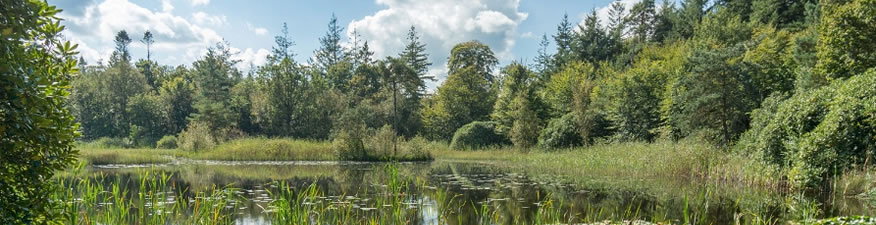 Wandelgebieden in Nederland