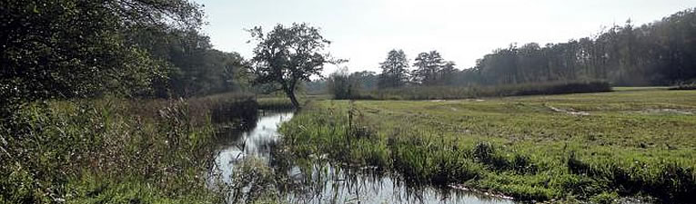 Wandelgebieden in Nederland