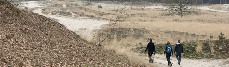 Wandelgebieden in Nederland