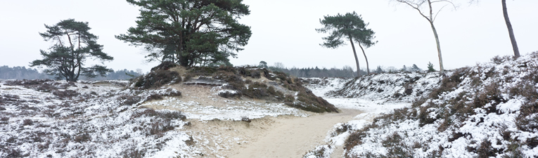 Wandelroutes in Nederland