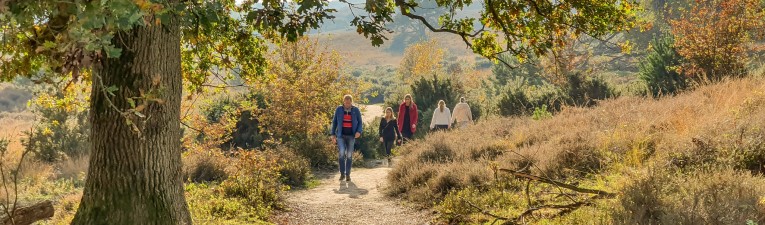 Wandelroutes in Nederland