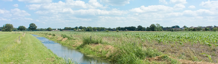 Wandelgebieden in Nederland