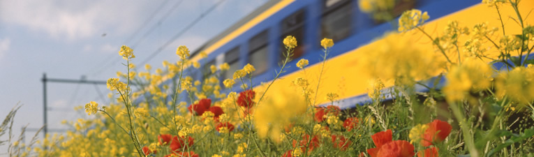 Groene Wissels - rondwandelingen van station naar station