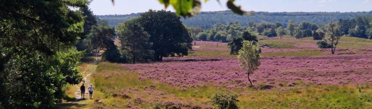 Heidewandelingen