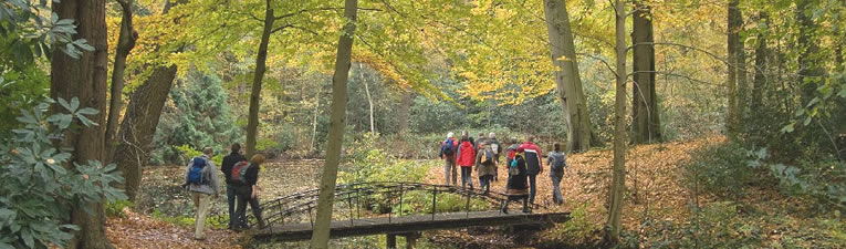 Wandelen in de herfst