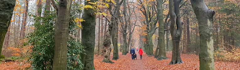 Herfstwandelingen