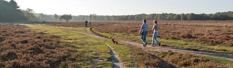 Wandelgebieden in Nederland