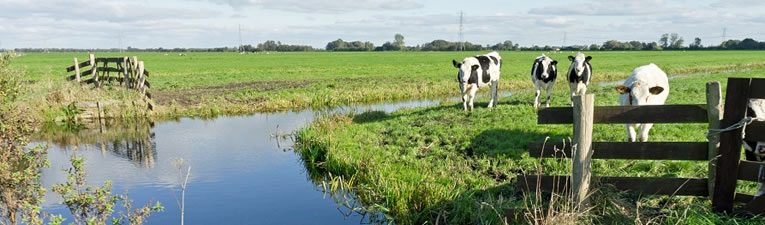 Wandelgebieden in Nederland