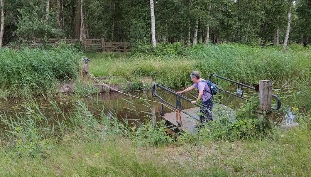 Het pontje van Ben