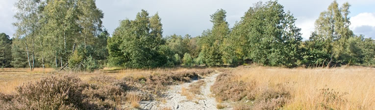 Wandelgebieden in Nederland