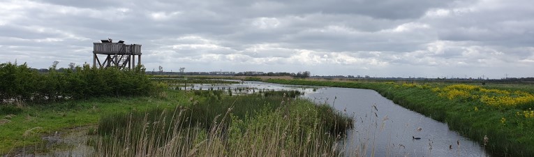 Uitkijktoren wandelingen