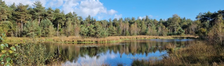 Knopenrondjes, top 12