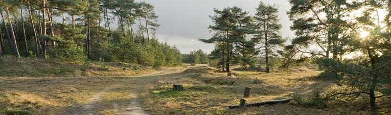 Wandelgebieden in Nederland