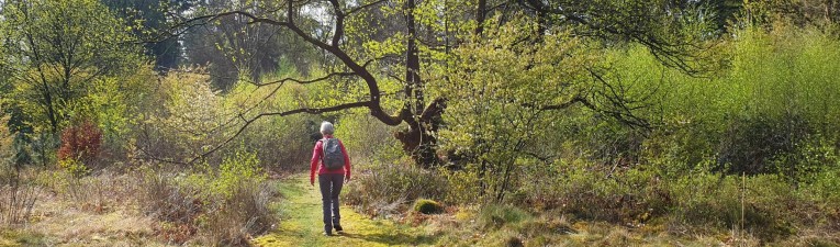 Kort en Prachtig, Top 10