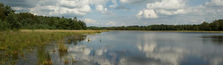 Wandelgebieden in Nederland