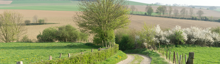 Lentewandelingen