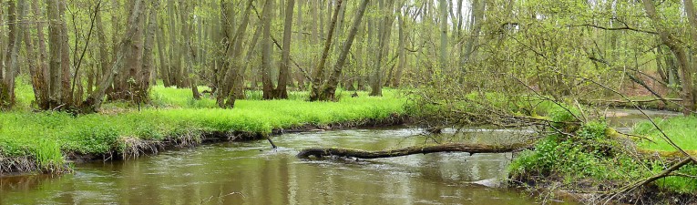 Lentewandelingen, archief