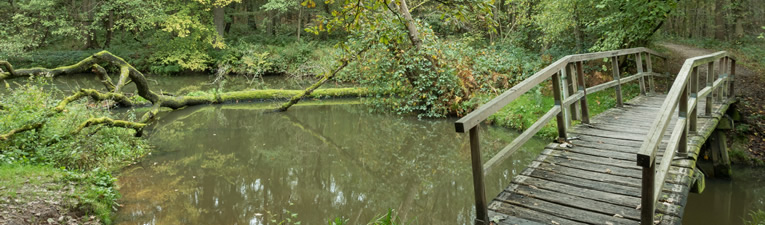 Wandelgebieden in Nederland