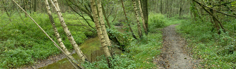 Wandelgebied
