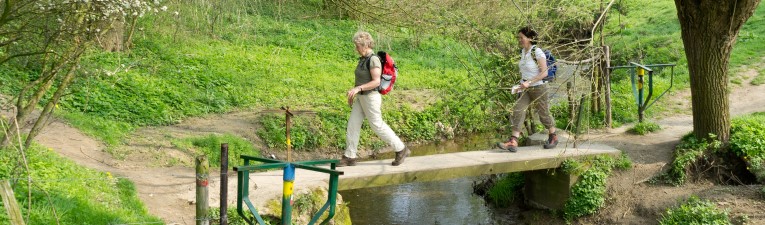 Bergen en beekjes in Limburg