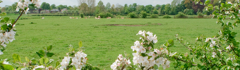 Wandelgebieden in Nederland