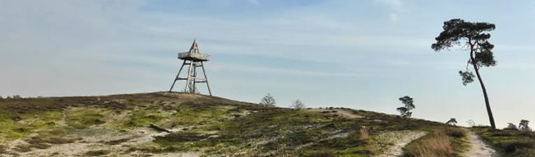 Wandelgebieden in Nederland