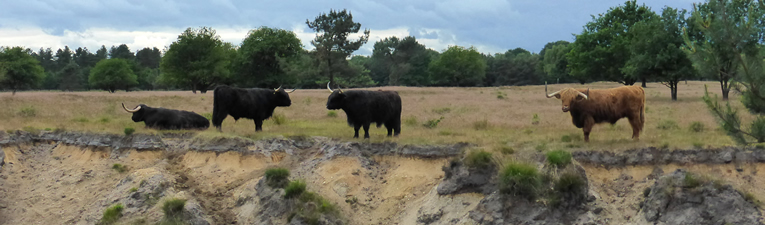 Wandelgebieden in Nederland