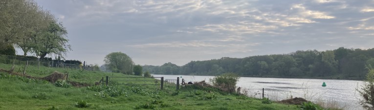Maaswachtpad