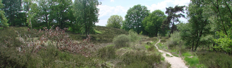 Wandelgebieden in Nederland