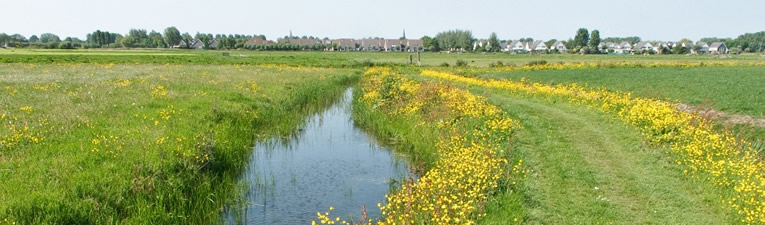 Wandelroutes in Nederland