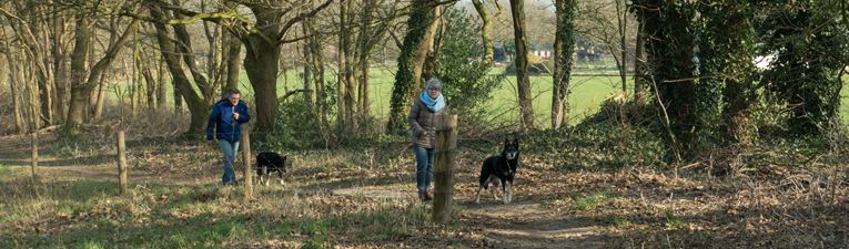 Wandelgebieden in Nederland