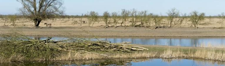 Wandelgebieden in Nederland