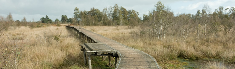 Wandelgebieden in Nederland