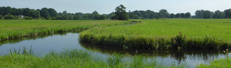 Wandelgebieden in Nederland