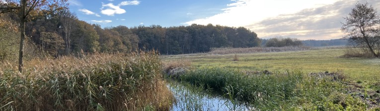 Wandelgebieden in Nederland