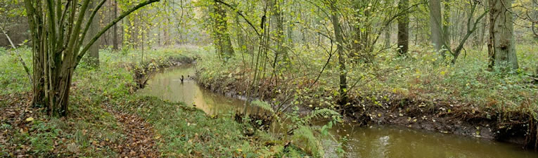 Wandelgebieden in Nederland