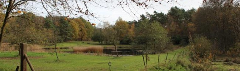 Meerdaagse wandeltochten