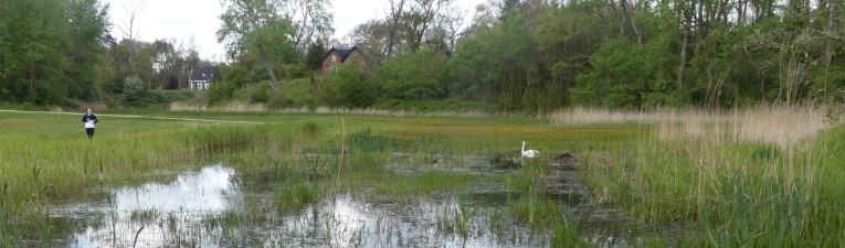 Rust rond de Randstad