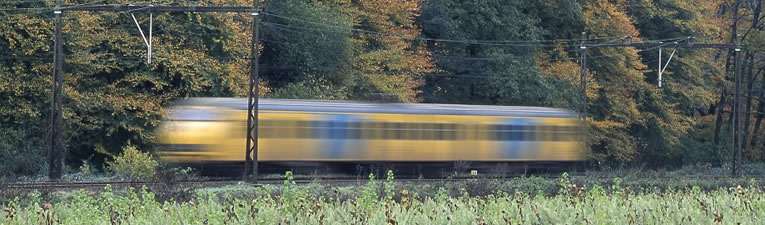 Met stationswandelingen het bos in