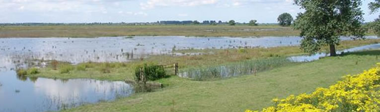 Wandelgebieden in Nederland