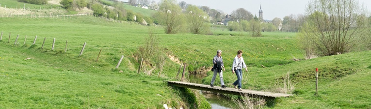 Groene Wissels - top 10 van Bart van der Schagt