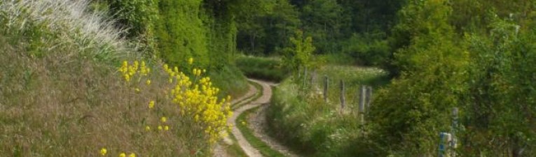 Meerdaagse wandeltochten