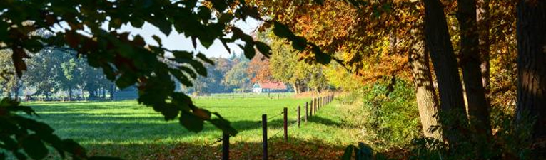 Wandelgebieden in Nederland