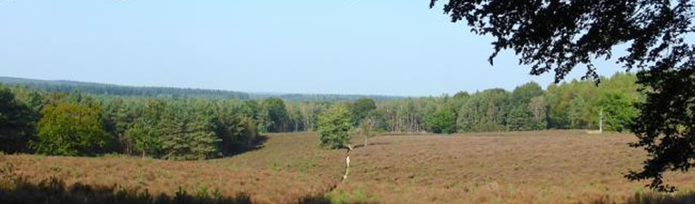 Wandelgebieden in Nederland