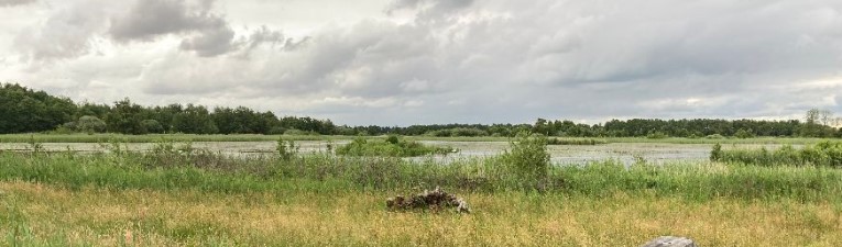 Op stap met Britta - vogels kijken Op stap met Britta - vogels kijken